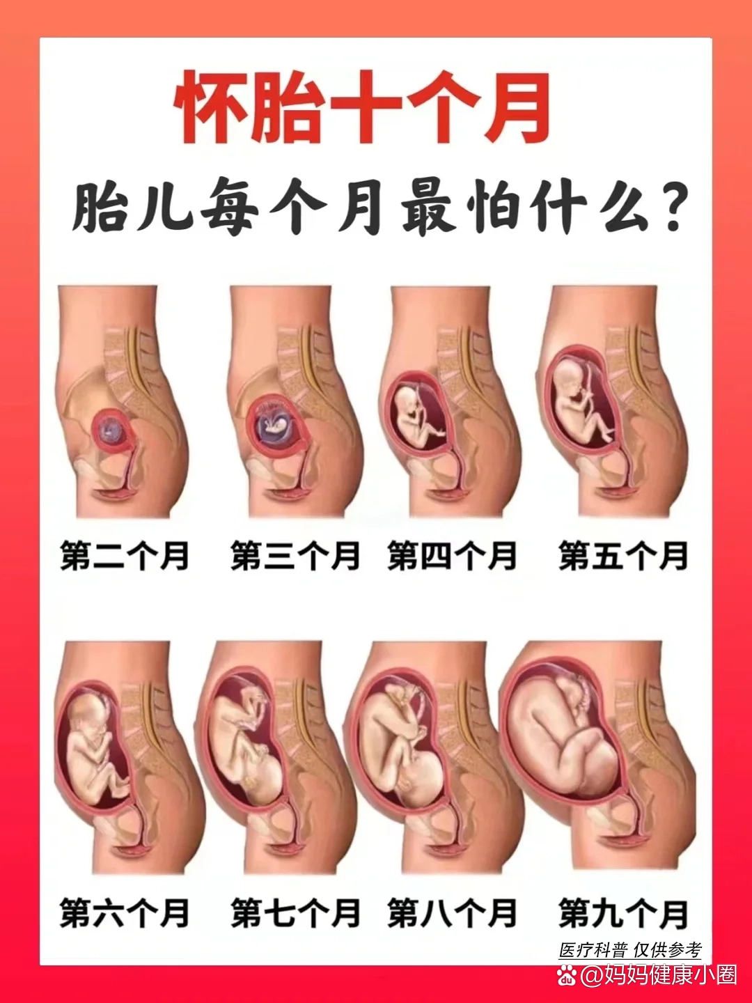 怀孕24周相当于多少个月